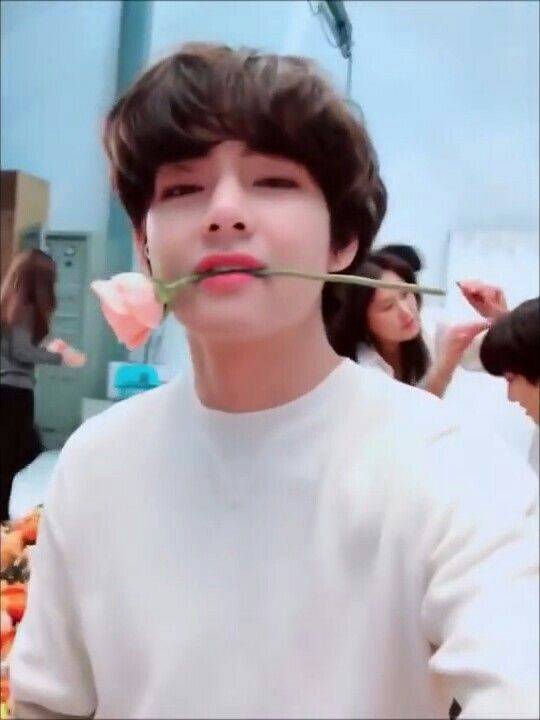 Flower for my flower BTS WORLD