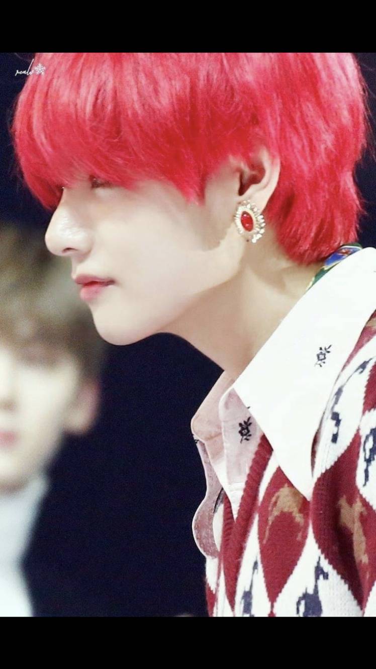 テテ 髪色集 Bts World