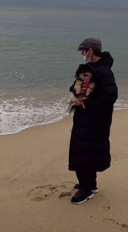 テテデート風壁紙 Bts World