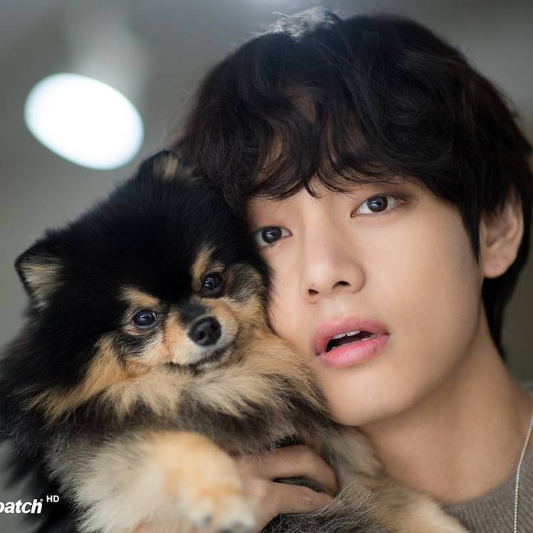 ヨンタンになりたい Bts World