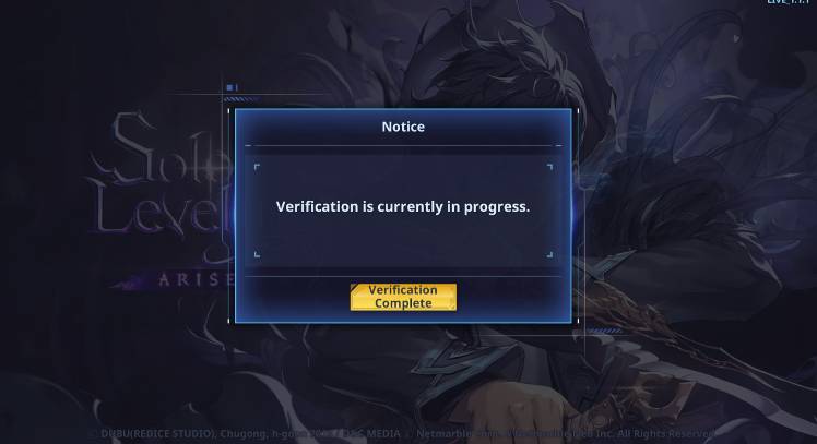 log in verification error - Solo Leveling:ARISE